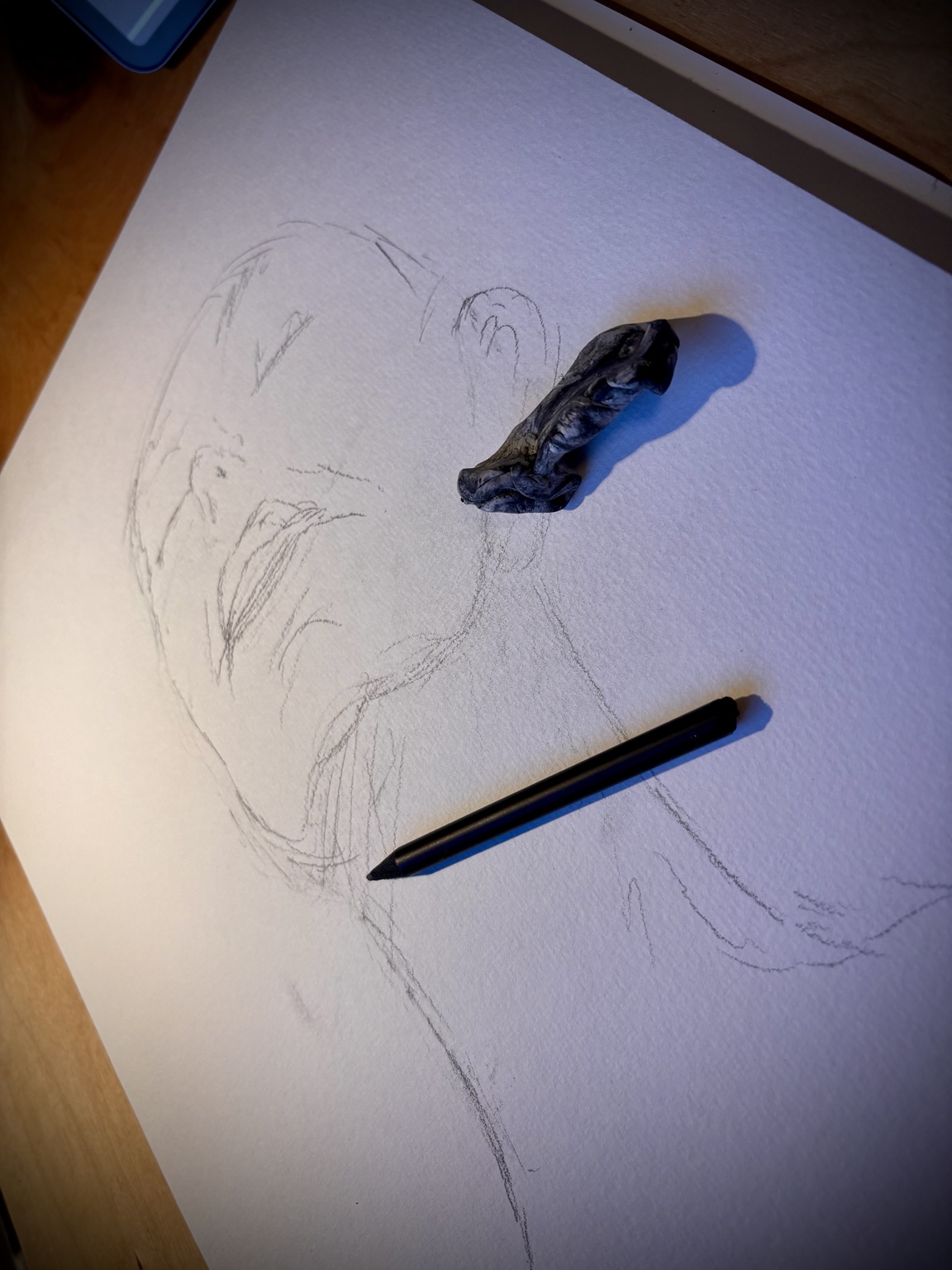 Face study with pencil and paint tools